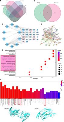 Modified Qing’ e Pills exerts anti-osteoporosis effects and prevents bone loss by enhancing type H blood vessel formation